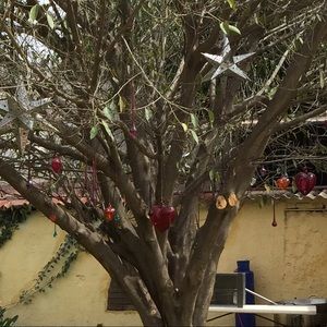 Meet your Posher, Lorena